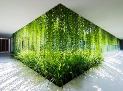 Chống nóng cho mặt đứng nhà hương Tây một cách hiệu quả.